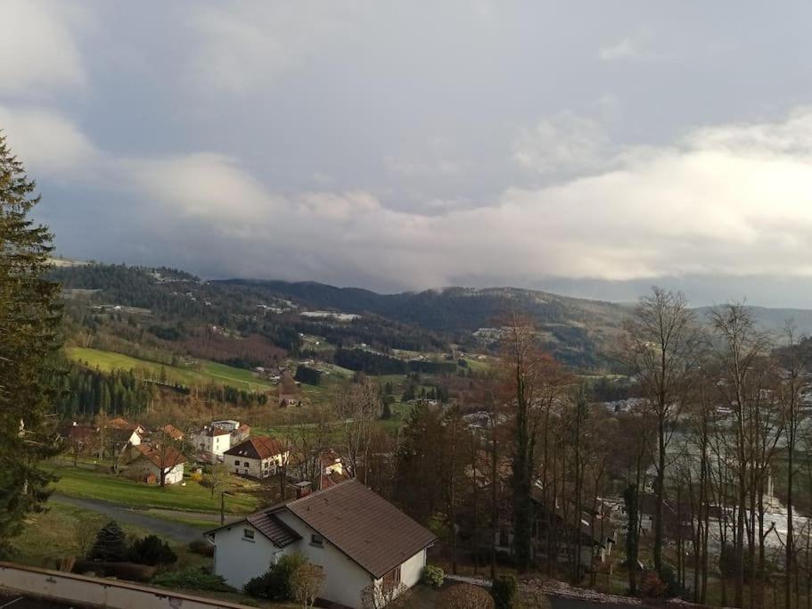 Duplex - Proche De Gerardmer Le Tholy Exteriör bild