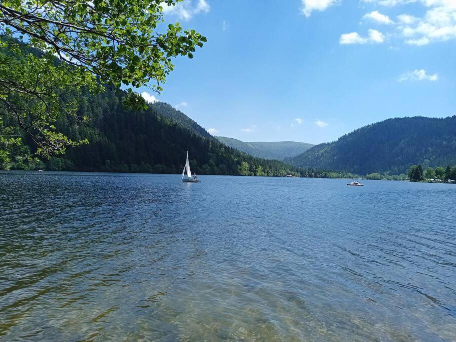 Duplex - Proche De Gerardmer Le Tholy Exteriör bild
