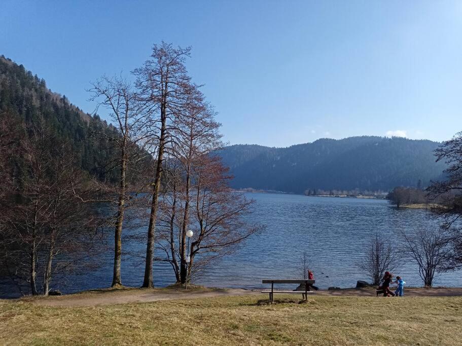 Duplex - Proche De Gerardmer Le Tholy Exteriör bild