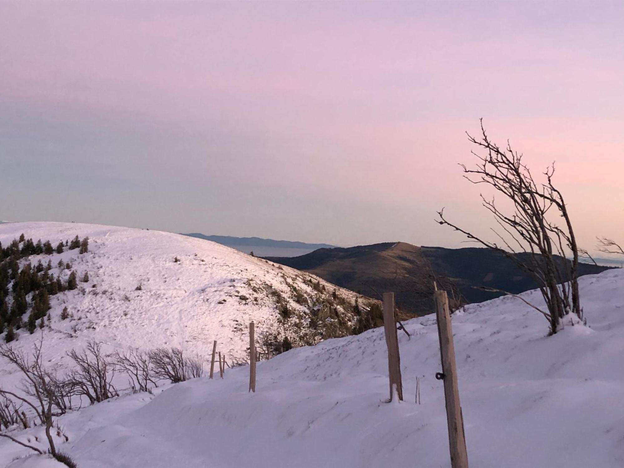 Duplex - Proche De Gerardmer Le Tholy Exteriör bild
